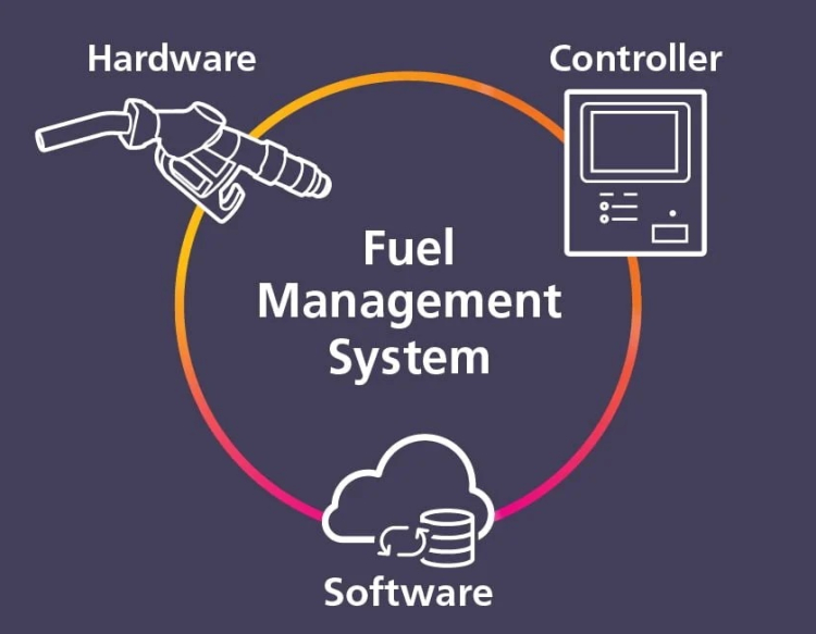 WhatsApp Image 2023-11-20 at 9.58.12 AM